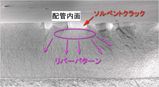 亀裂発生部の破断面を走査型電子顕微鏡（SEM）写真（二次電子像）