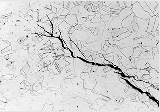 応力腐食割れの断面ミクロ観察