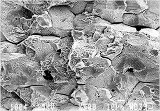 応力腐食割れ破断面のSEM画像