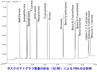 ガスクロマトグラフ質量分析法によるPAHsの分析例